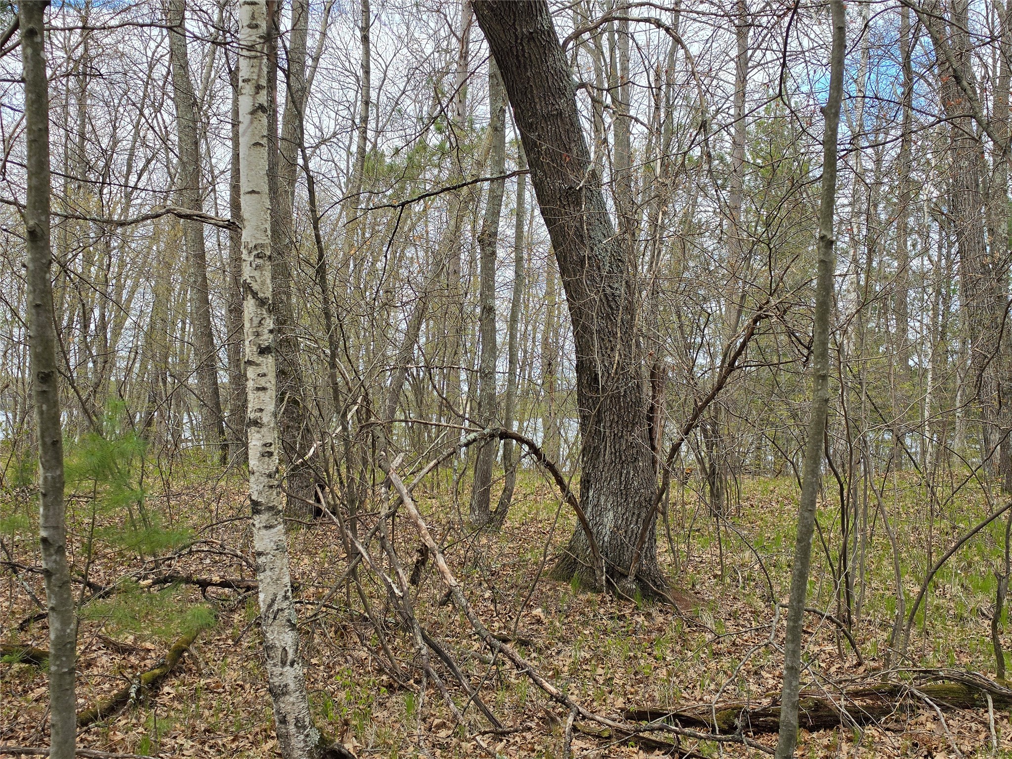 27796 295th Ave Lot 17 Avenue Holcombe WI 54745 1600696 image11
