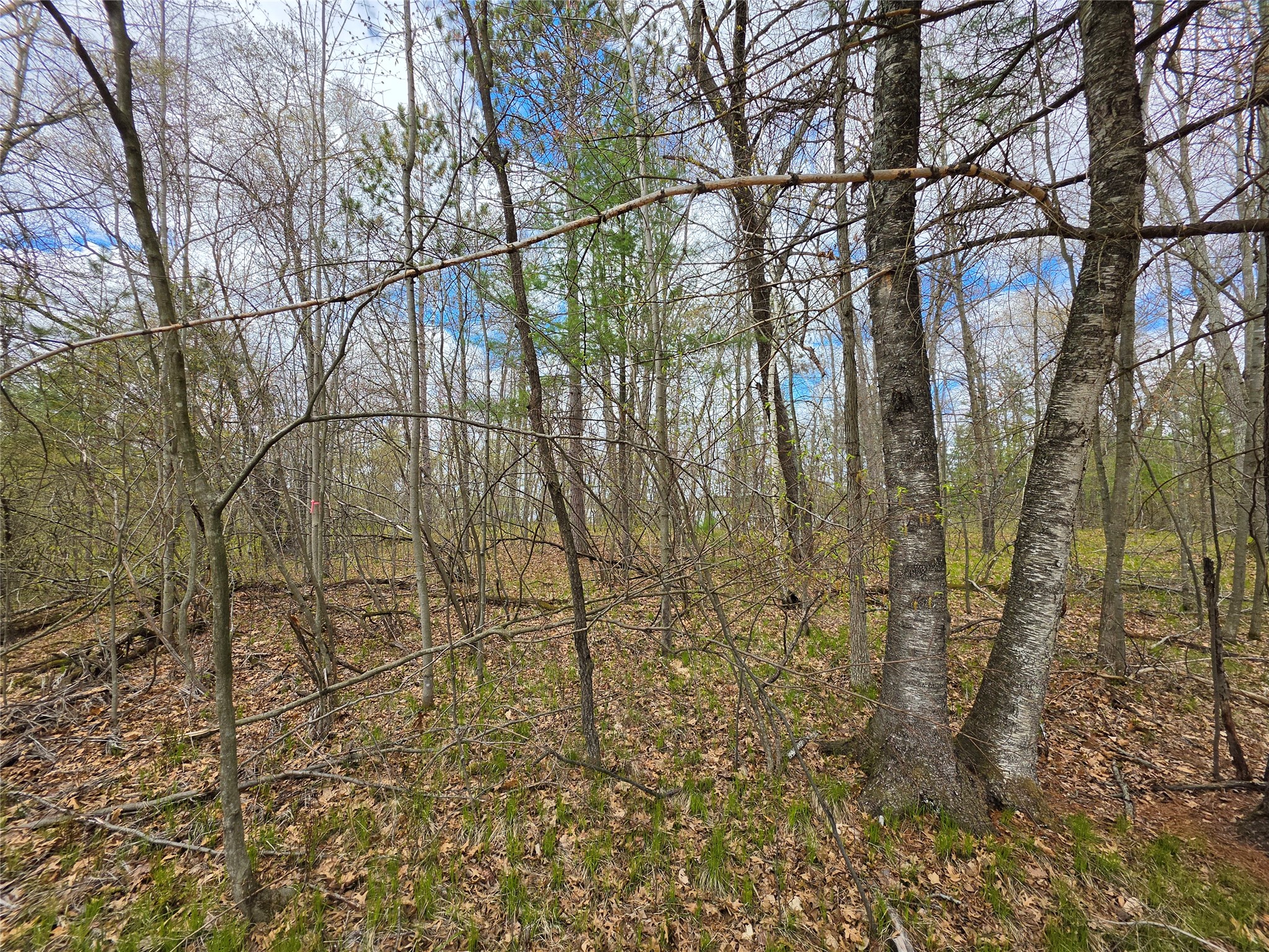 27796 295th Ave Lot 17 Avenue Holcombe WI 54745 1600696 image12