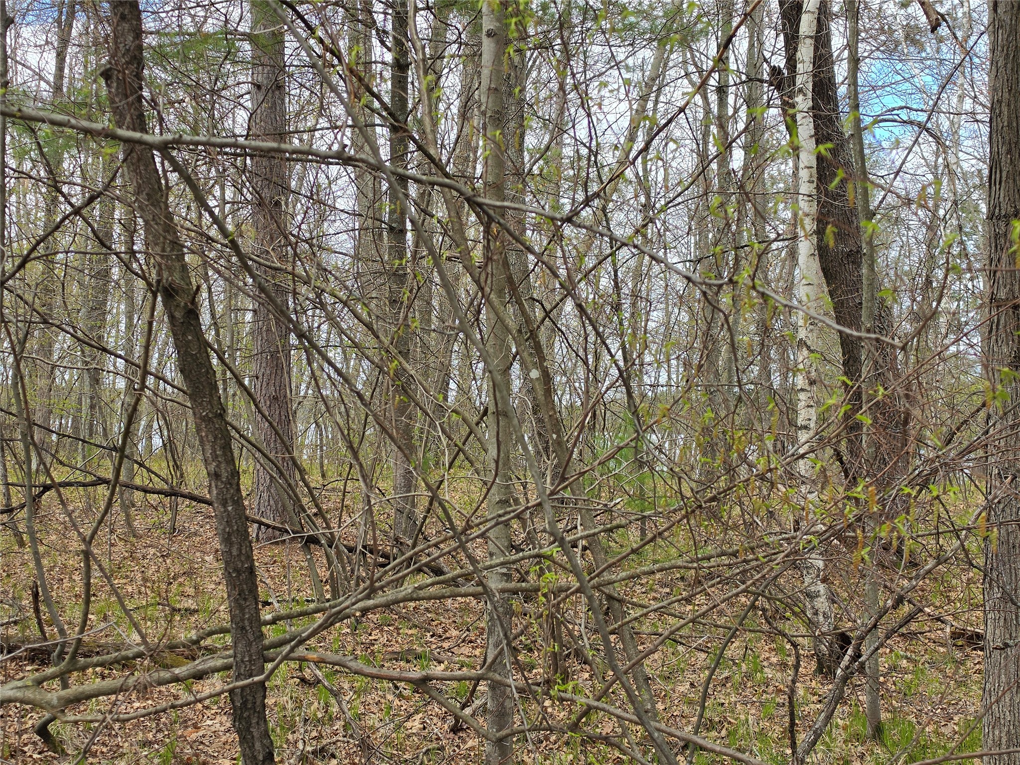 27796 295th Ave Lot 17 Avenue Holcombe WI 54745 1600696 image13