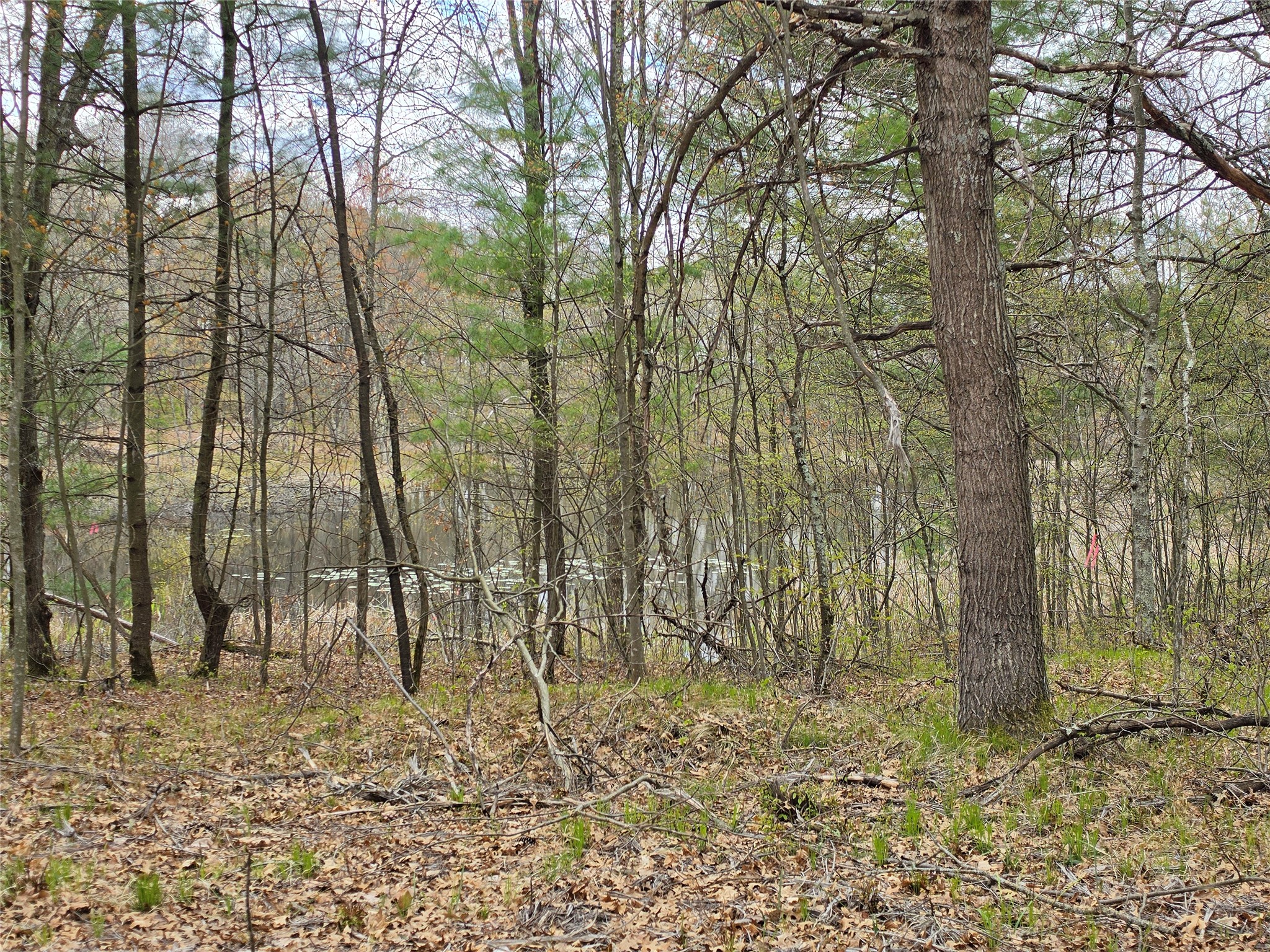 27796 295th Ave Lot 17 Avenue Holcombe WI 54745 1600696 image9
