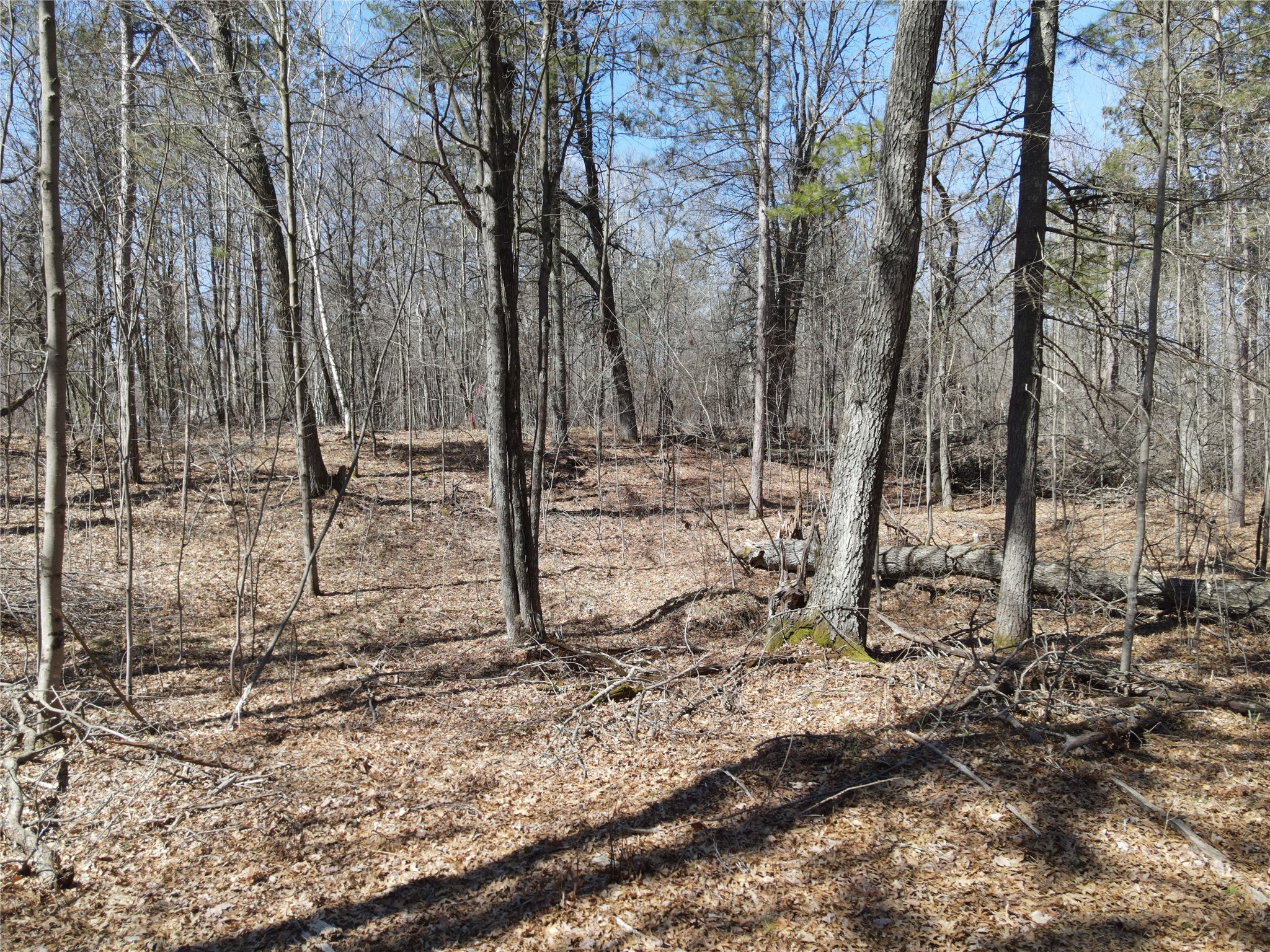 27846 290th Avenue Holcombe WI 54745 1599939 image1