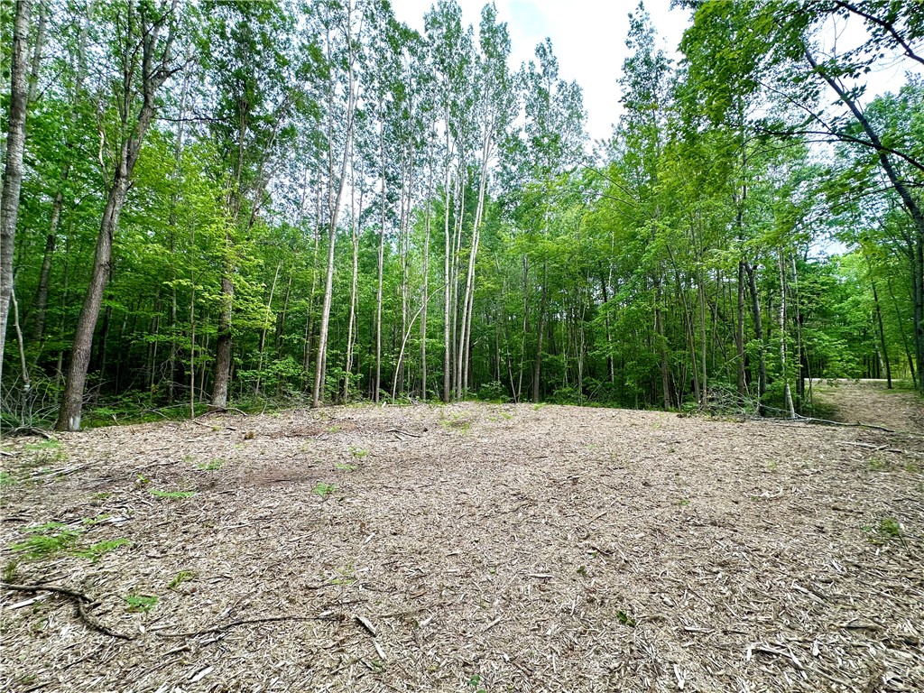 27888 290th Avenue Holcombe WI 54745 1592334 image1