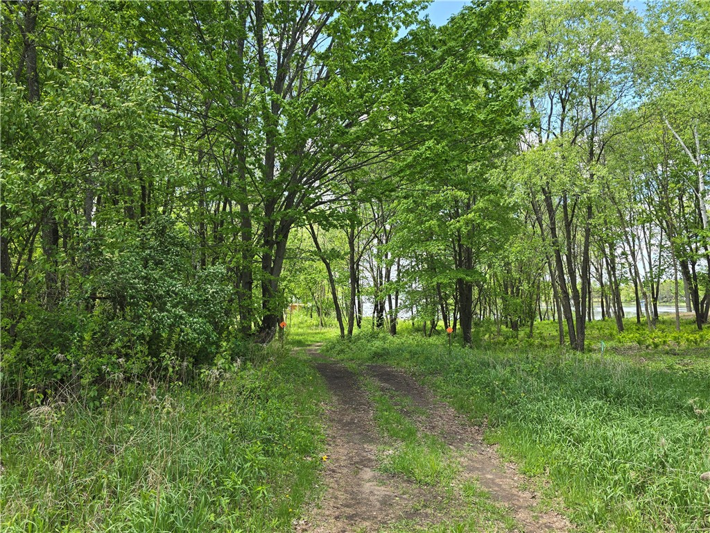 2788A 7 5/8 Avenue #7 Chetek WI 54728 - Moose Ear 1588795 image12
