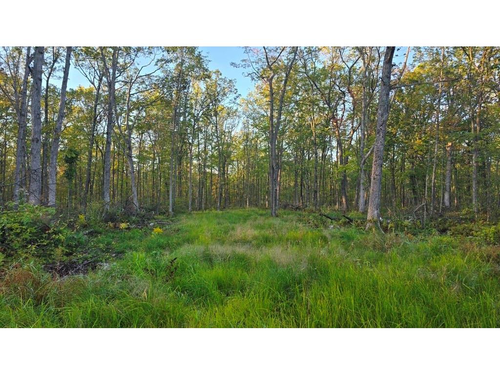 27th St 16th Avenue Rice Lake WI 54868 1586152 image1