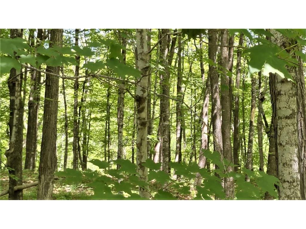 2800 E Lake Shore Drive Birchwood WI 54817 - Red Cedar 1572469 image1