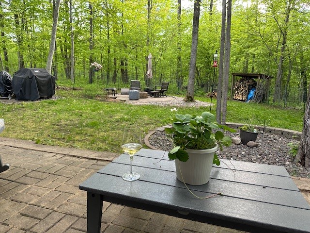 2808 28 7/16 Street Birchwood WI 54817 1598995 image24