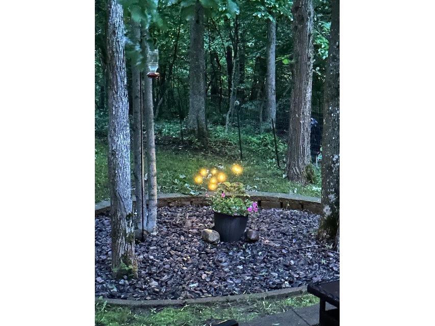 2808 28 7/16 Street Birchwood WI 54817 1598995 image28