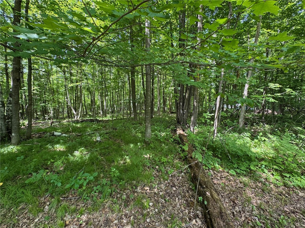 2826 28 7/16 Street Birchwood WI 54817 - Red Cedar 1592562 image4