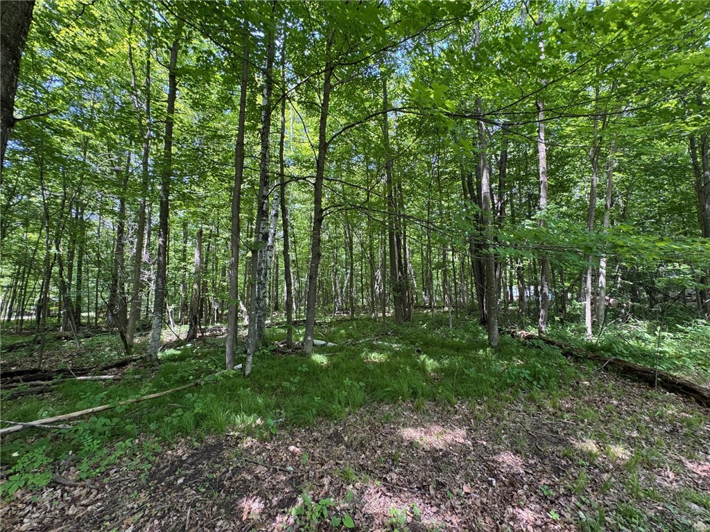 2826 28 7/16 Street Birchwood WI 54817 - Red Cedar 1592562 image5