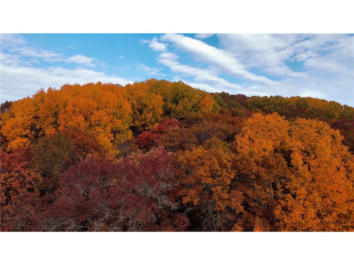 2839 E Princeton Avenue Eau Claire WI 54703 1586846 image2