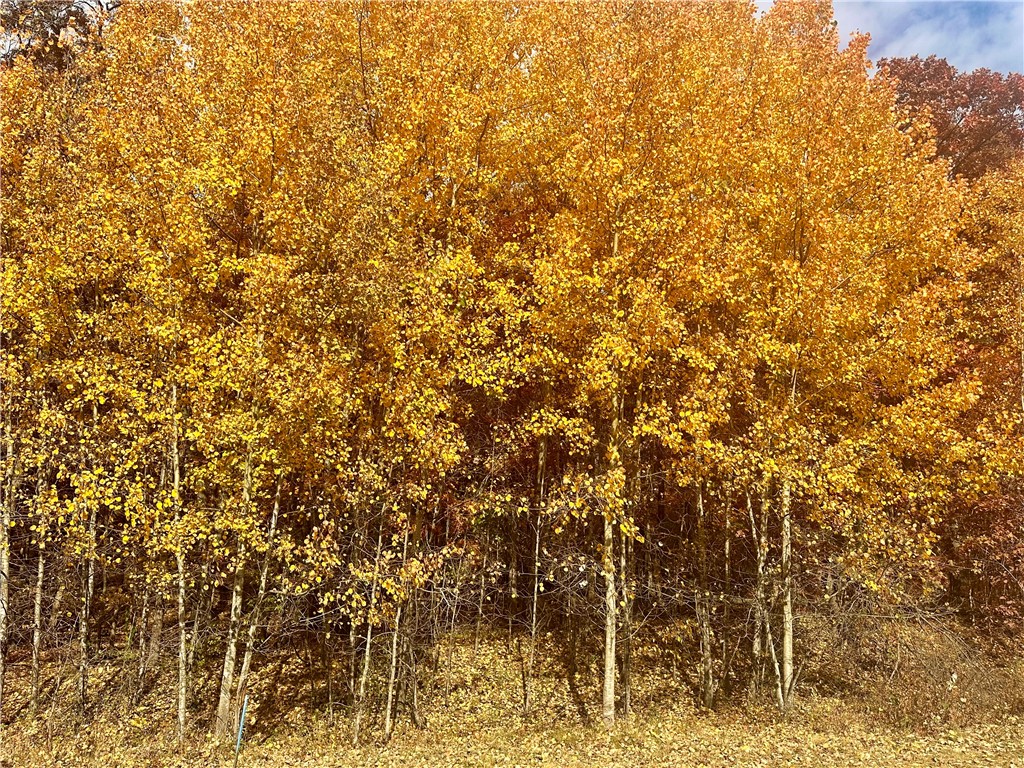 2839 E Princeton Avenue Eau Claire WI 54703 1586846 image3