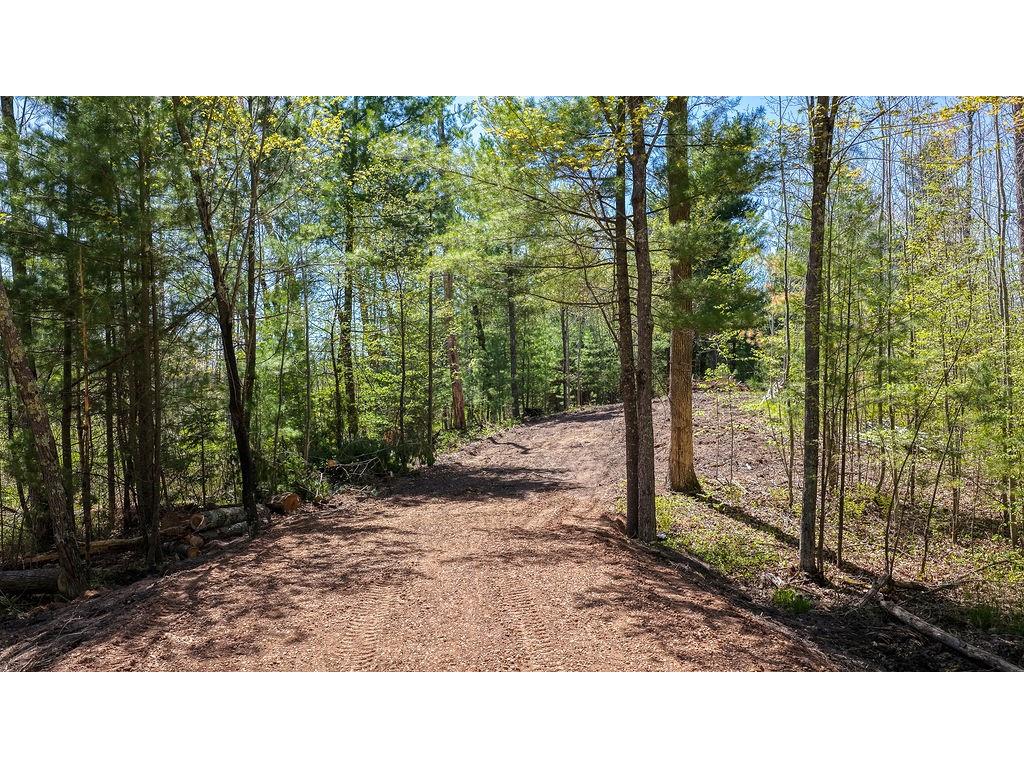 28457 Johnson Lake Road Danbury WI 54830 - Johnson 1601255 image10