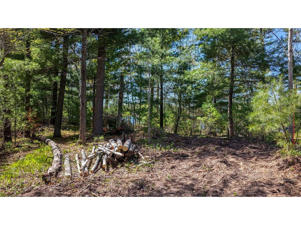 28457 Johnson Lake Road Danbury WI 54830 - Johnson 1601255 image11