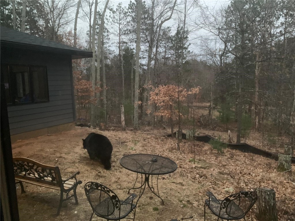 28478 Jesse Ryan Court Danbury WI 54830 1598513 image11