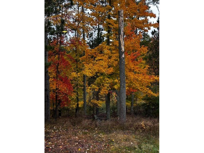 28478 Jesse Ryan Court Danbury WI 54830 1598513 image12