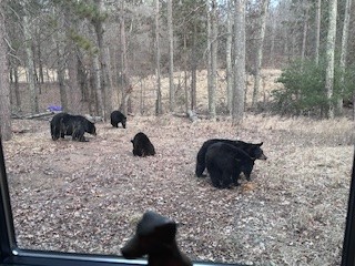 28478 Jesse Ryan Court Danbury WI 54830 1598513 image13