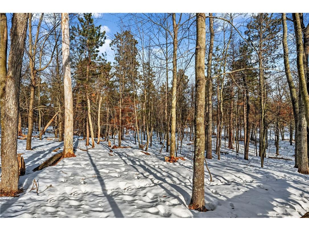 28478 Jesse Ryan Court Danbury WI 54830 1598513 image5