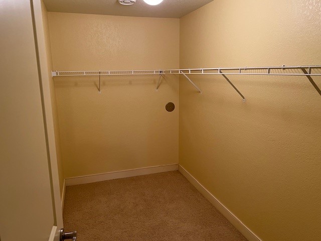 2856 29th Avenue #110 Birchwood WI 54817 - Red Cedar 1595489 image27