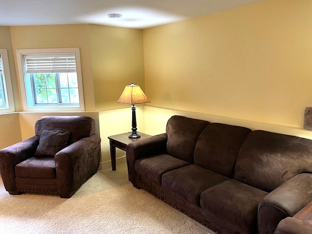 2856 29th Avenue #110 Birchwood WI 54817 - Red Cedar 1595489 image29