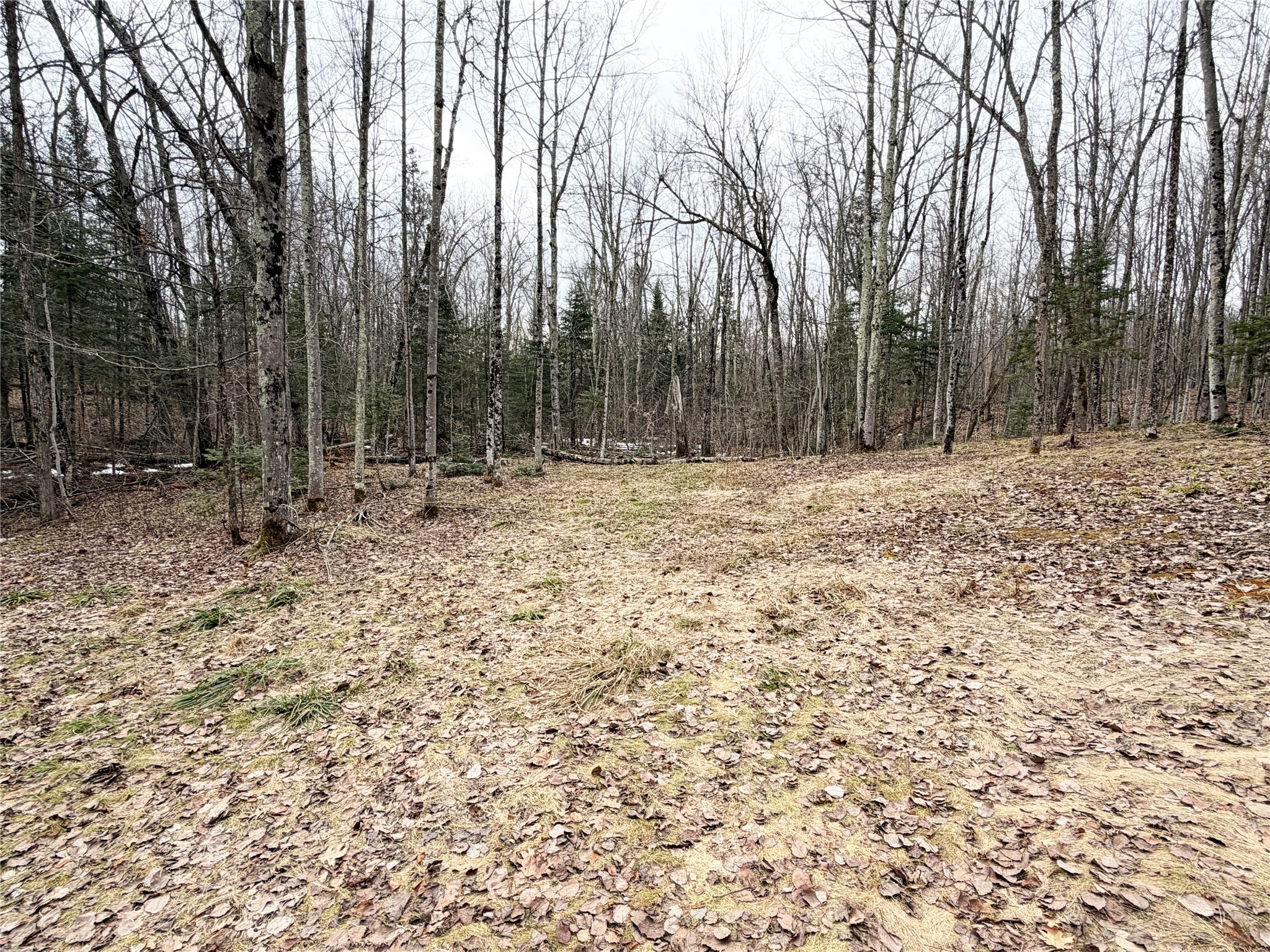 2861 29 7/16 Avenue Birchwood WI 54817 - Red Cedar 1599164 image10