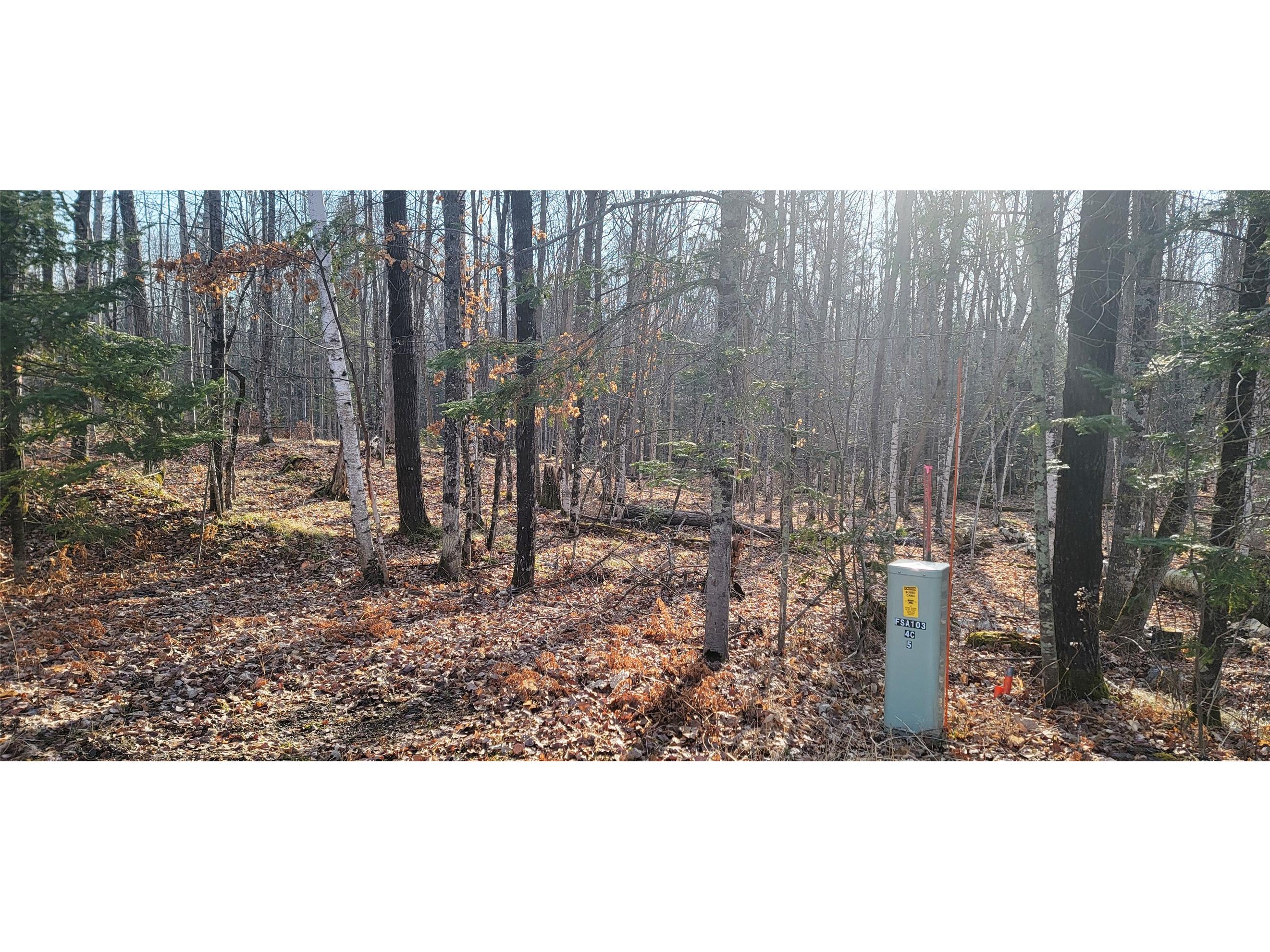 2861 29 7/16 Avenue Birchwood WI 54817 - Red Cedar 1599164 image11