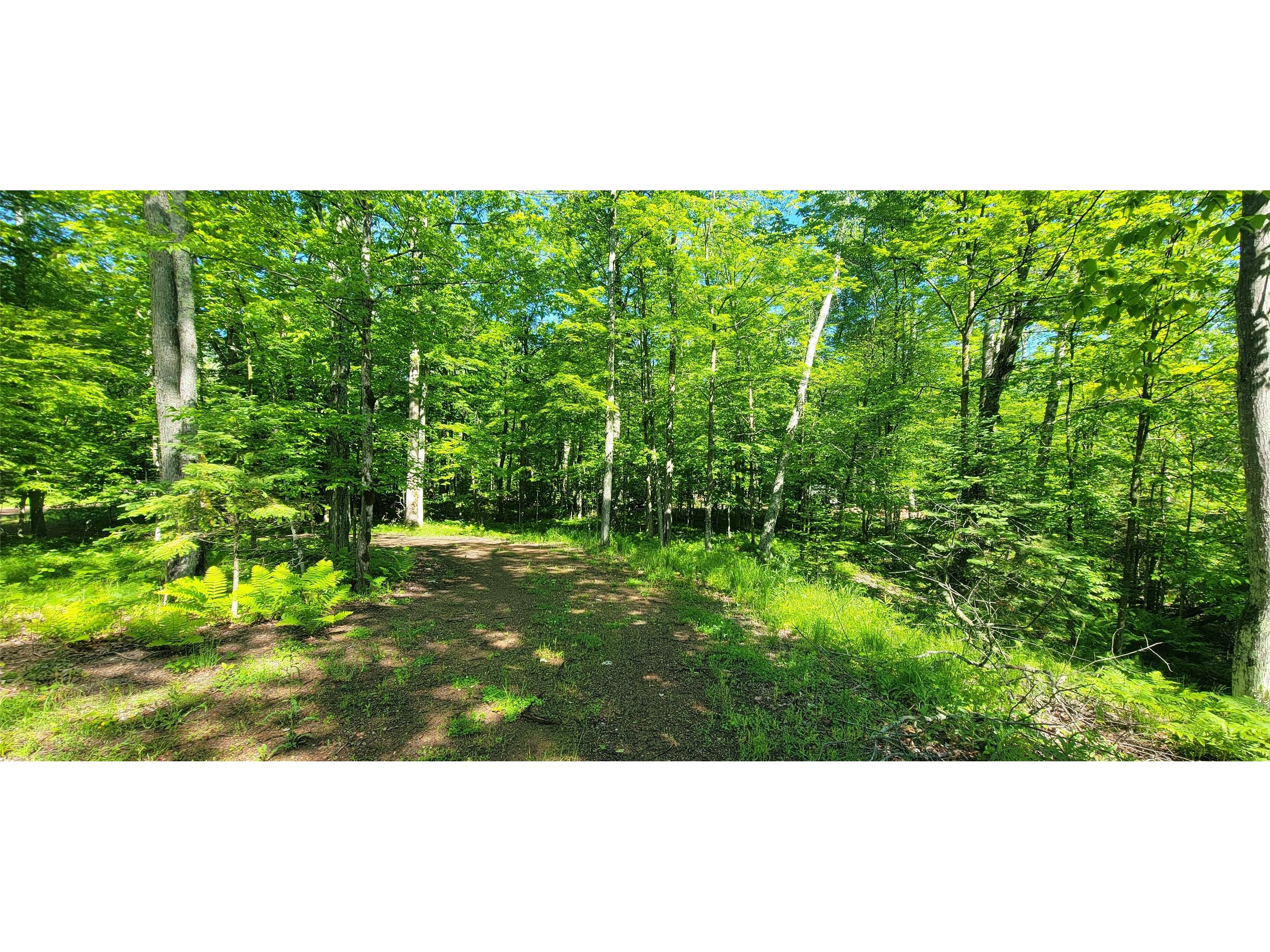 2861 29 7/16 Avenue Birchwood WI 54817 - Red Cedar 1599164 image14