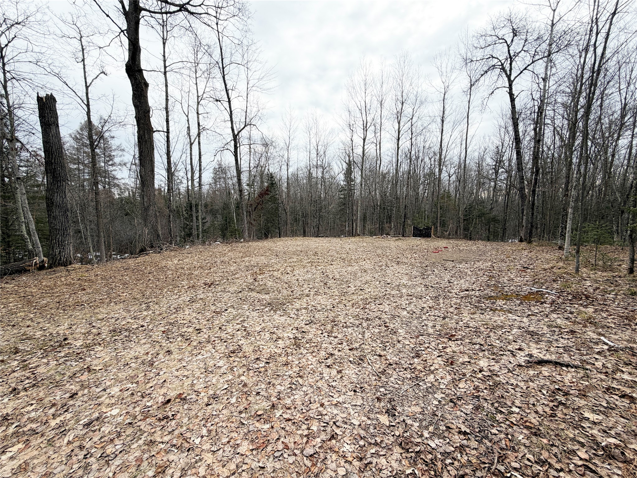 2861 29 7/16 Avenue Birchwood WI 54817 - Red Cedar 1599164 image2