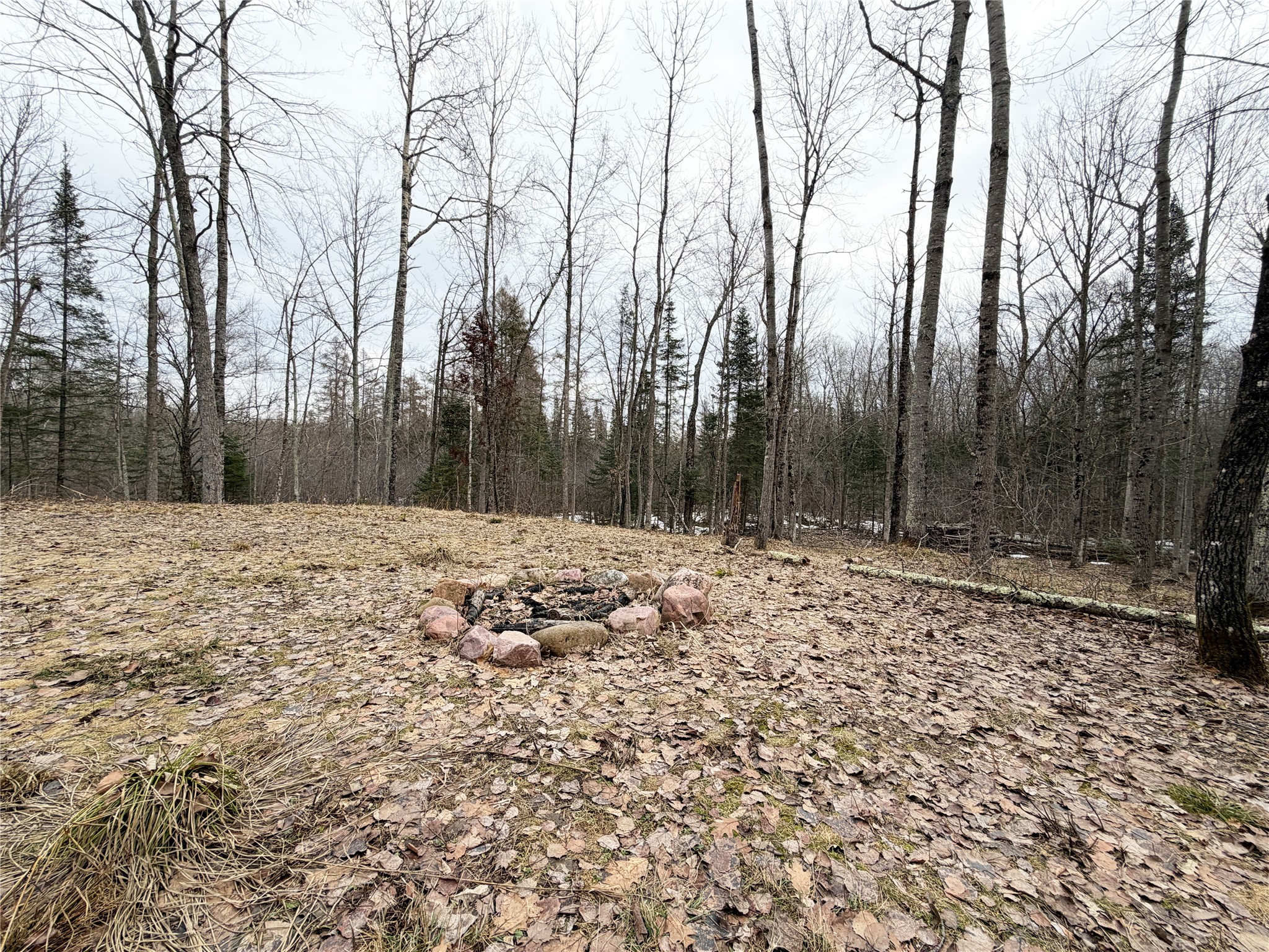 2861 29 7/16 Avenue Birchwood WI 54817 - Red Cedar 1599164 image7