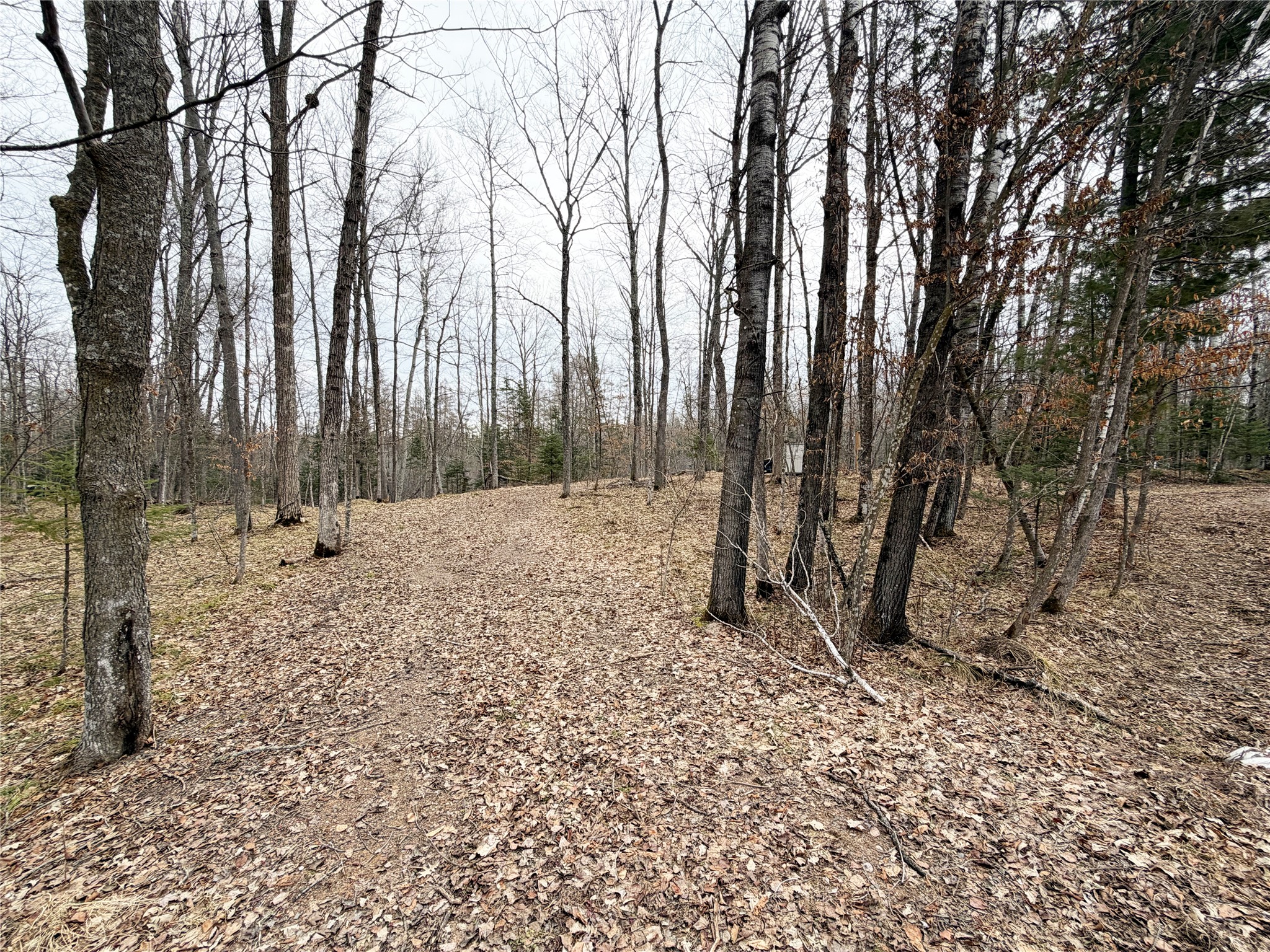 2861 29 7/16 Avenue Birchwood WI 54817 - Red Cedar 1599164 image8