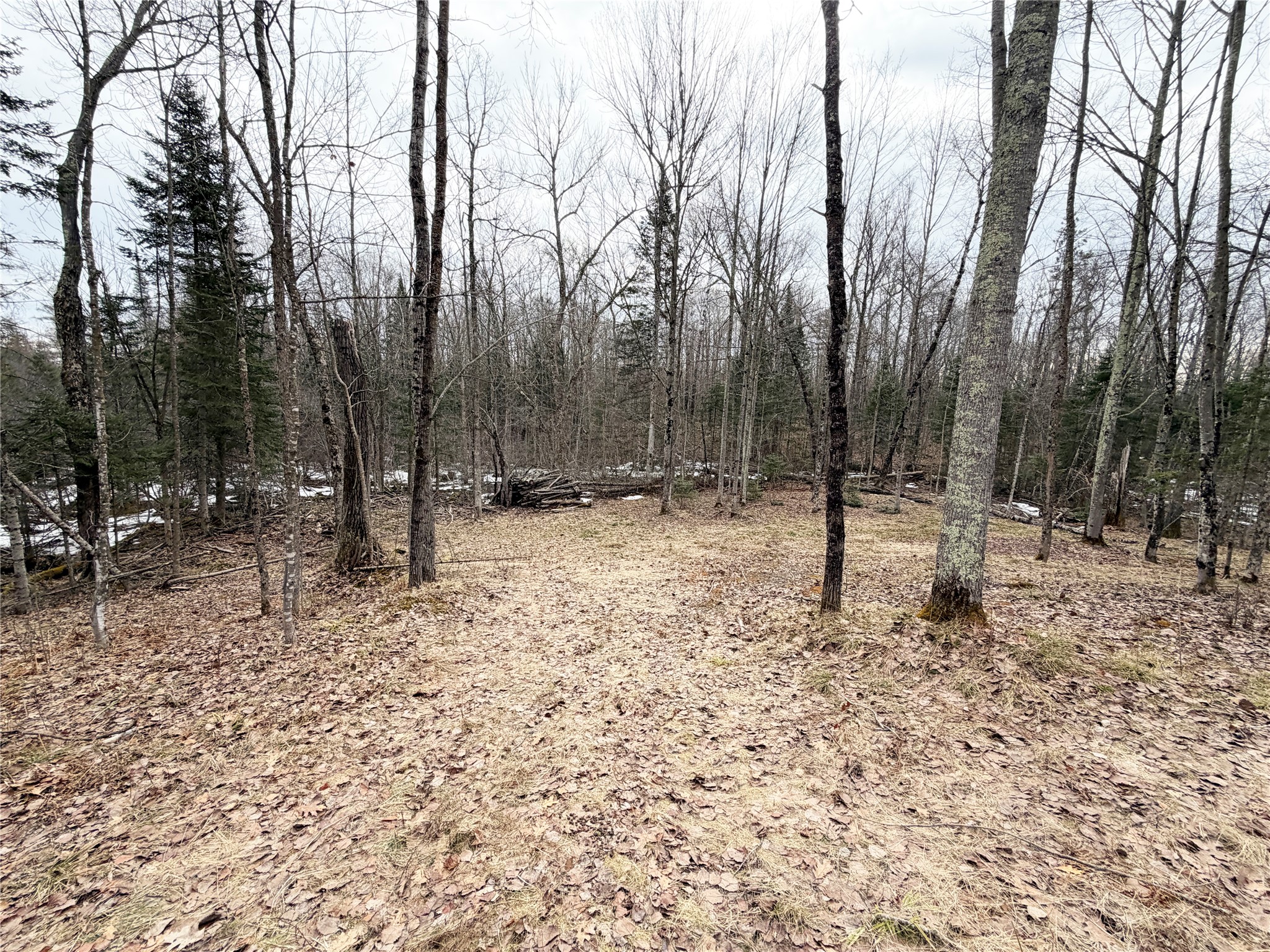 2861 29 7/16 Avenue Birchwood WI 54817 - Red Cedar 1599164 image9