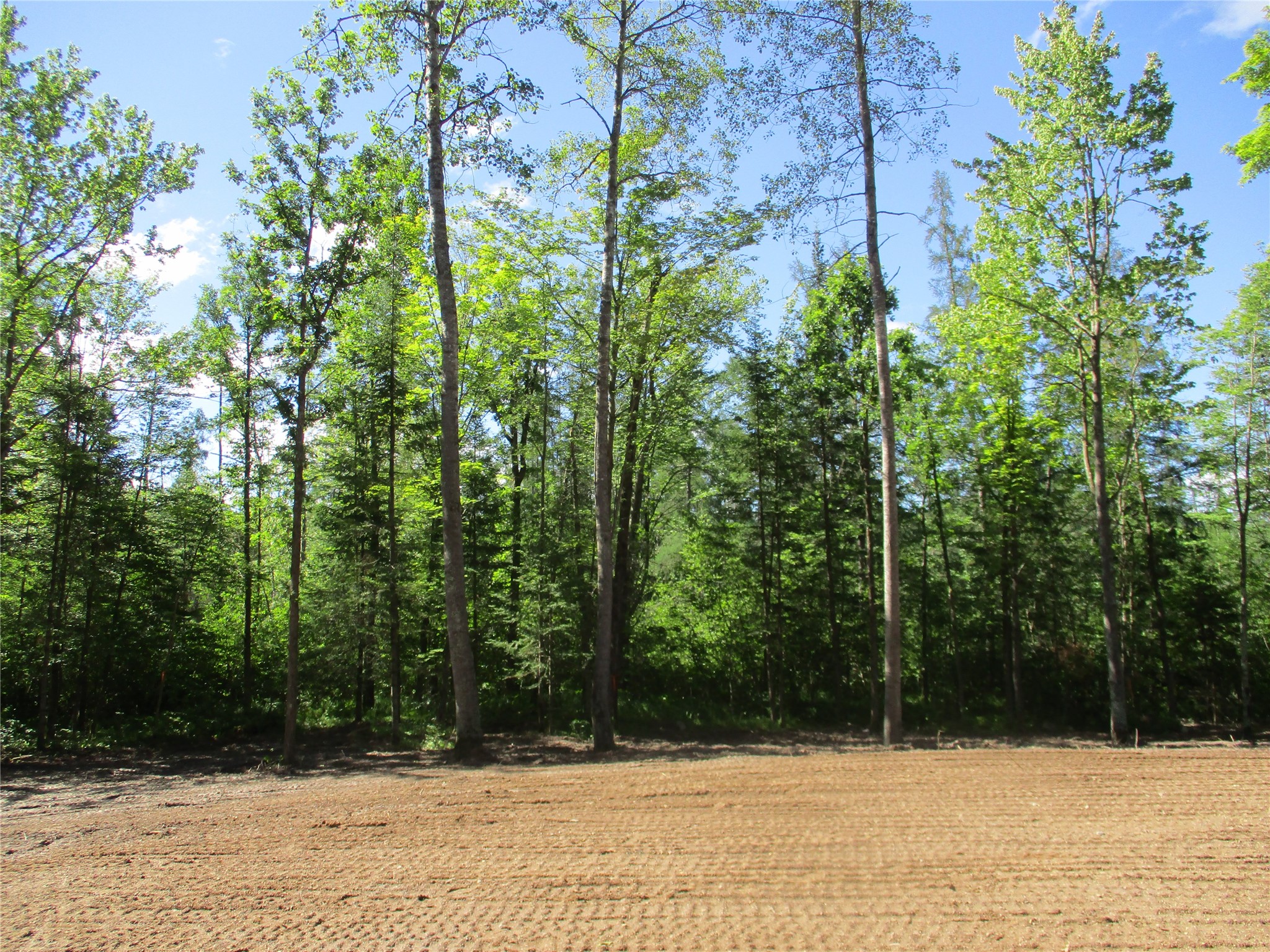 2863 Independence Way /29 9/16 Avenue Birchwood WI 54817 - Red Cedar 1601854 image11