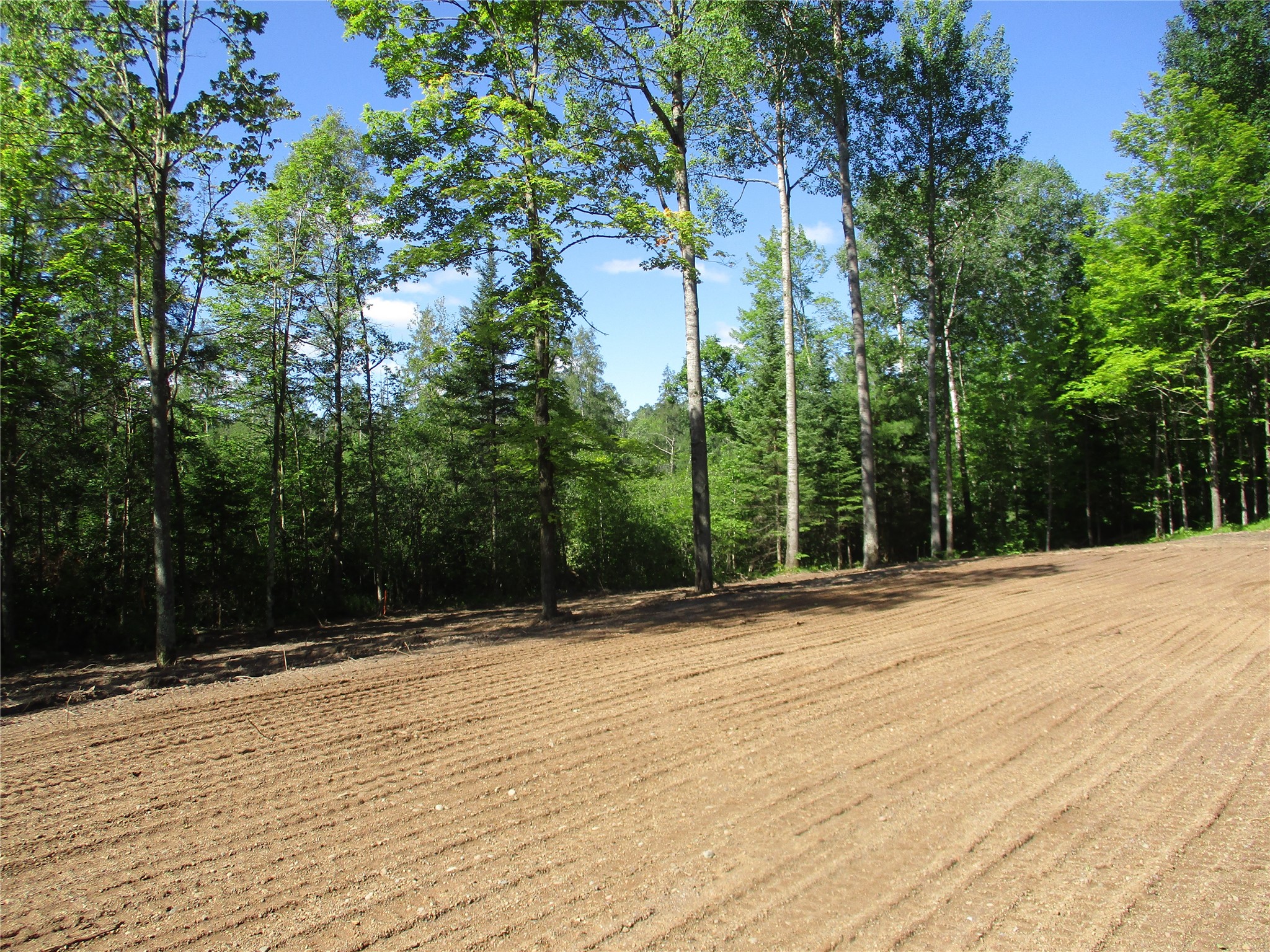 2863 Independence Way /29 9/16 Avenue Birchwood WI 54817 - Red Cedar 1601854 image5