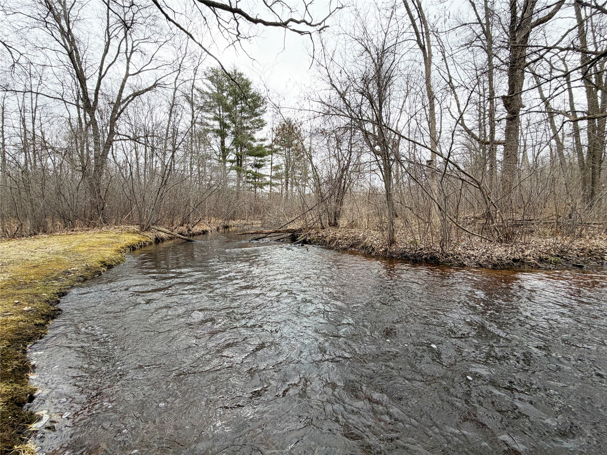 2867 28 1/8 Avenue Birchwood WI 54817 - Red Cedar 1599433 image44