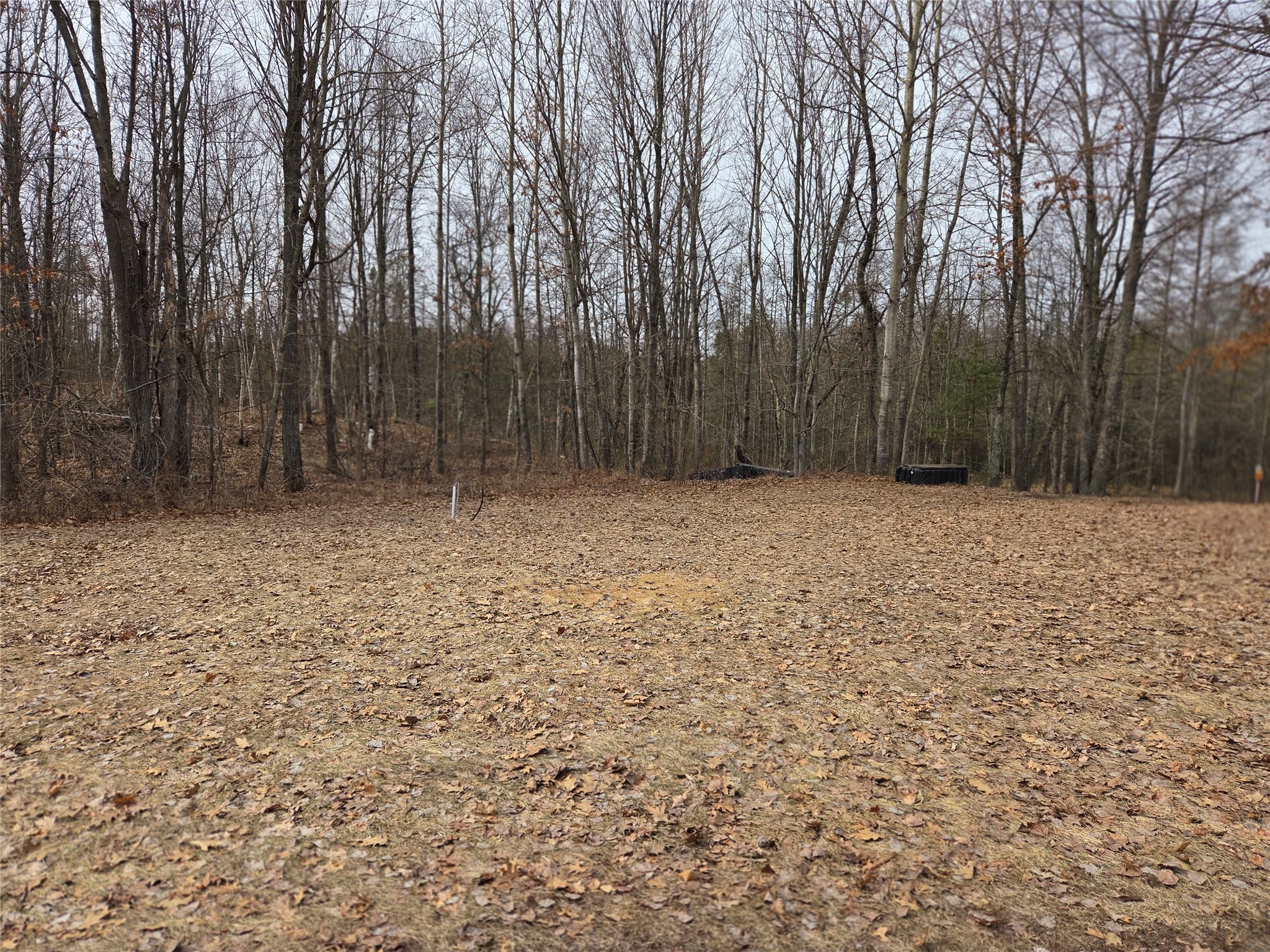 28762 N Hwy 27 Holcombe WI 54745 1599180 image12