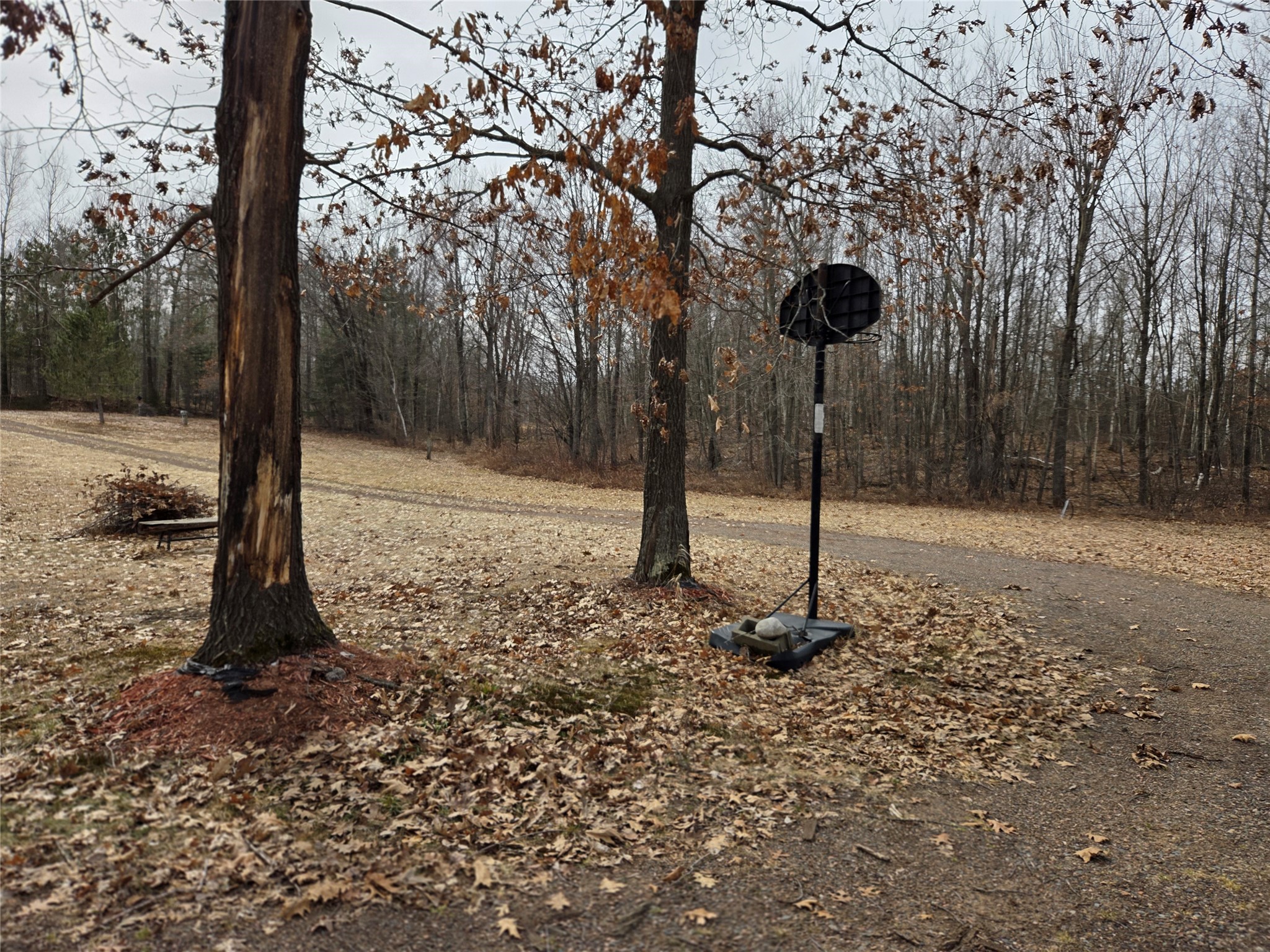 28762 N Hwy 27 Holcombe WI 54745 1599180 image4