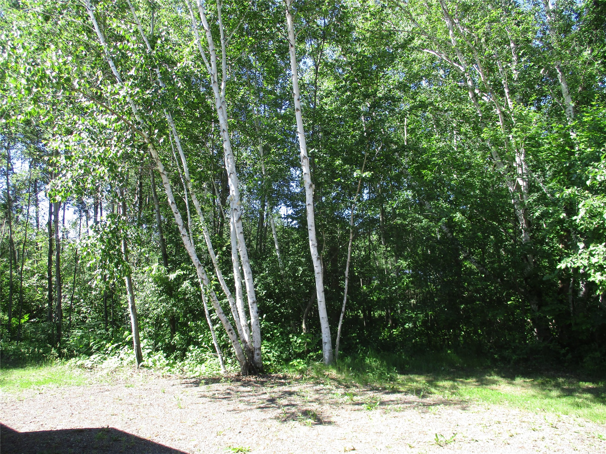 2884 29 7/8 Avenue Birchwood WI 54817 - Red Cedar 1602244 image10