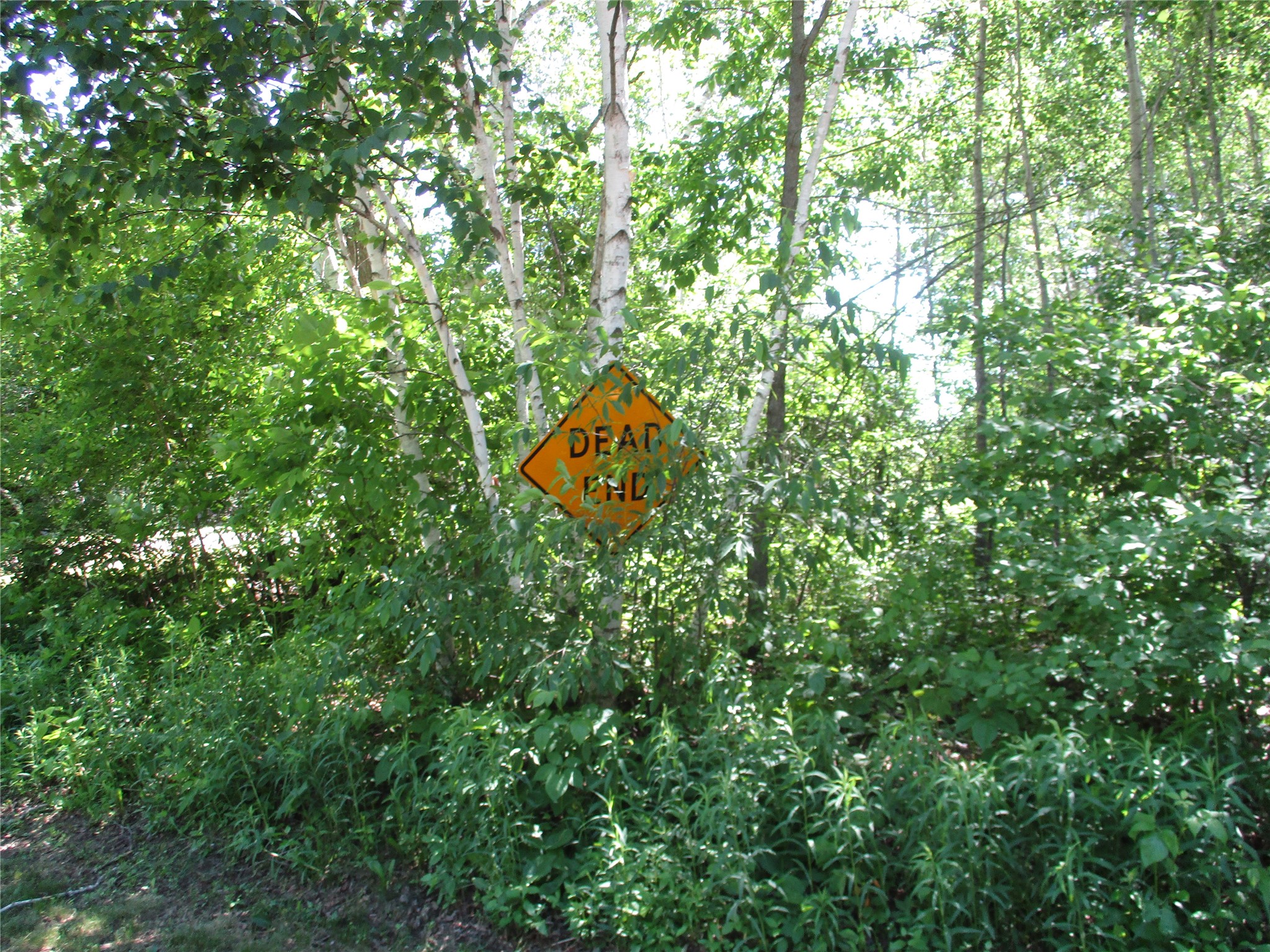 2884 29 7/8 Avenue Birchwood WI 54817 - Red Cedar 1602244 image36