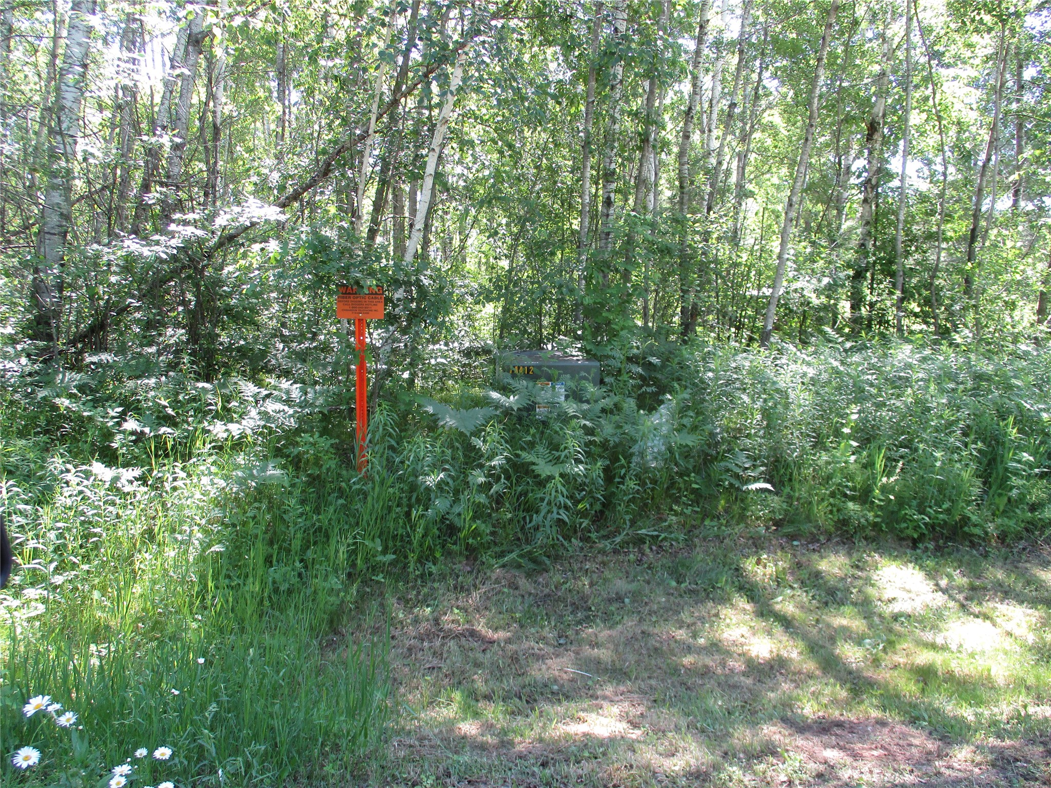 2884 29 7/8 Avenue Birchwood WI 54817 - Red Cedar 1602244 image38