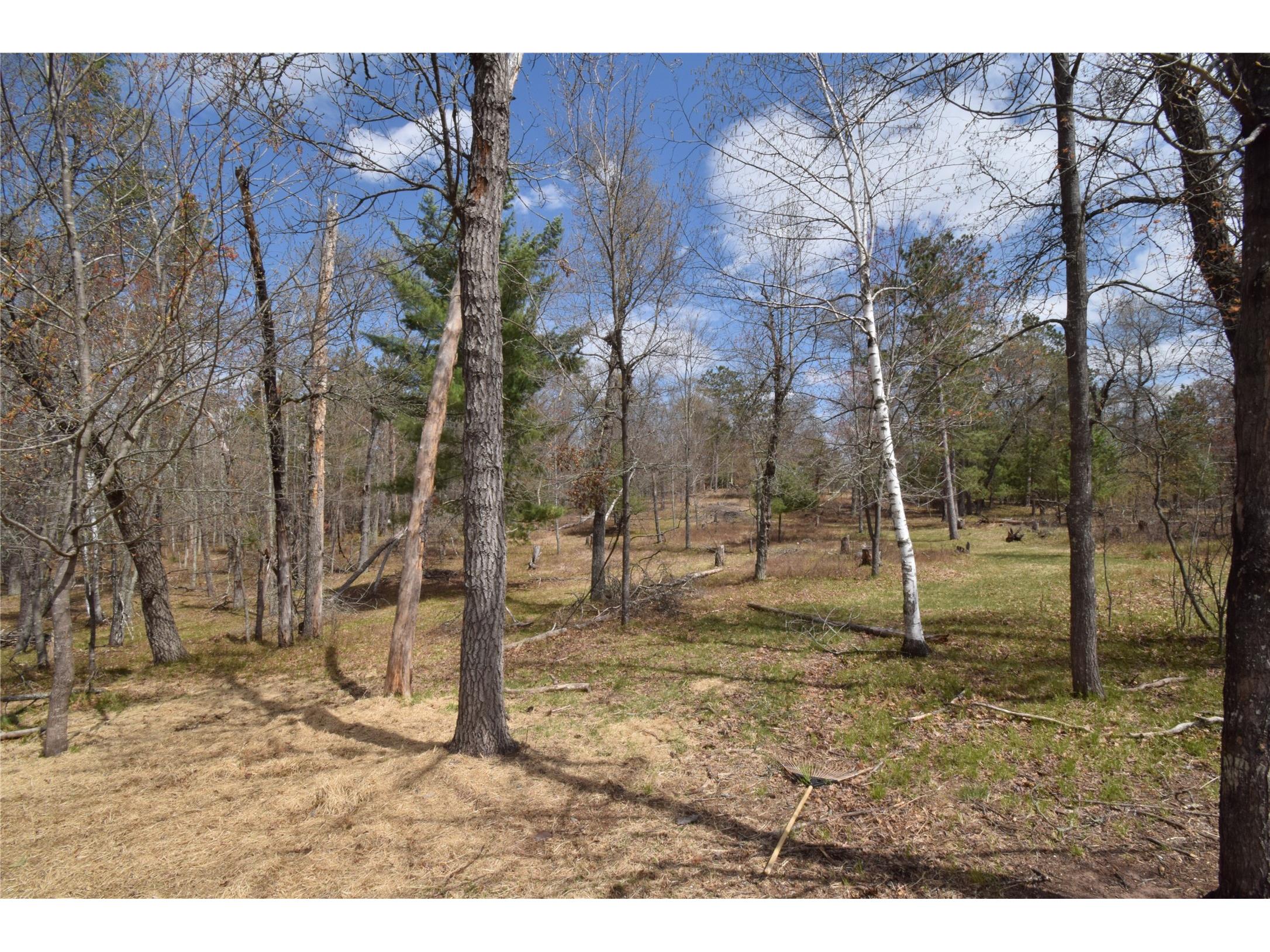 28870 E Yellow River Road Danbury WI 54830 - Yellow 1598850 image59
