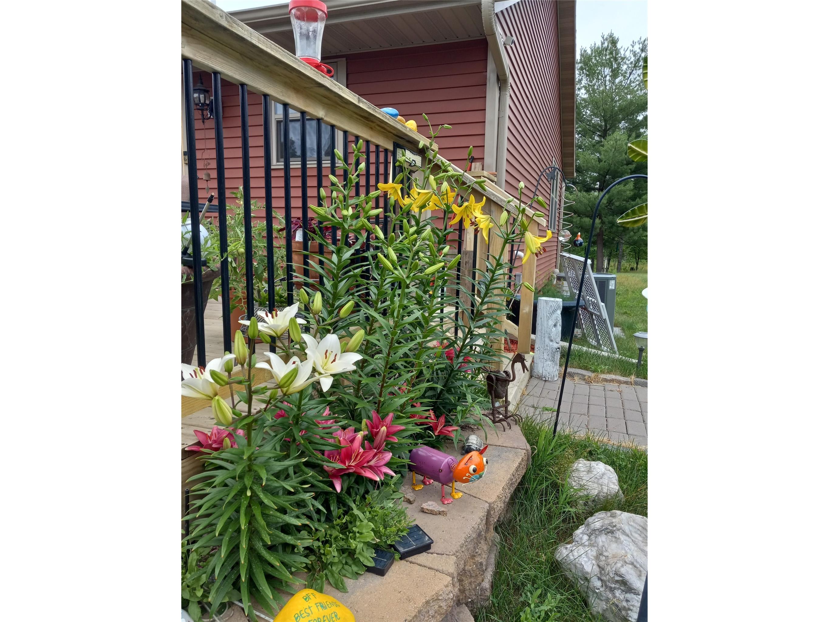 28870 E Yellow River Road Danbury WI 54830 - Yellow 1598850 image7