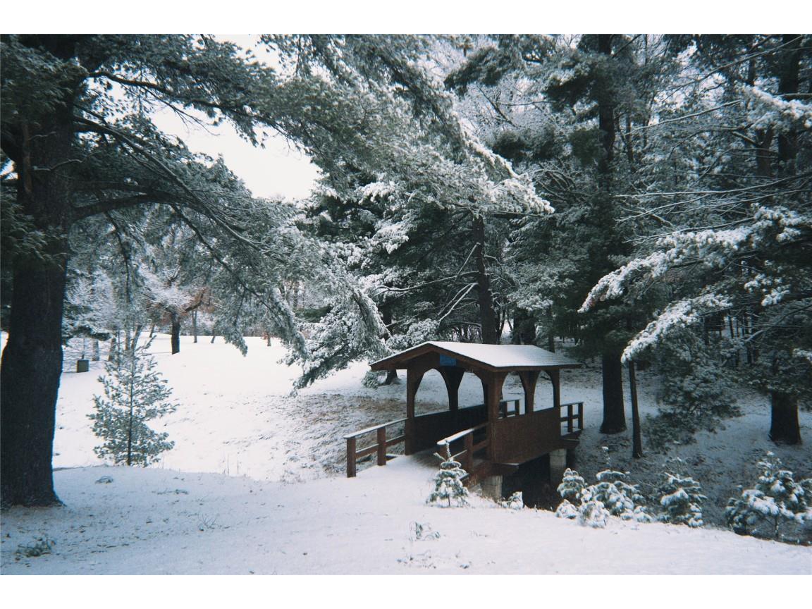 28931 Tall Moon Circle Danbury WI 54830 1599741 image45