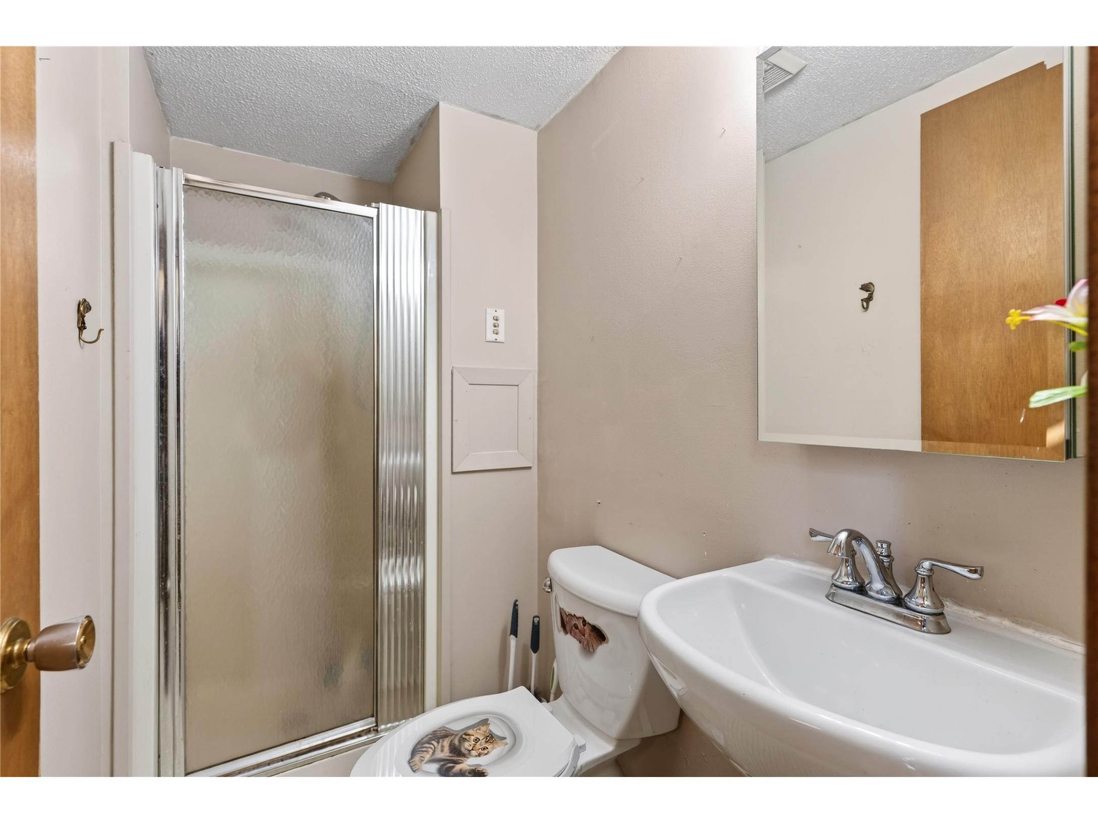 28941 Treasure Island Road Danbury WI 54830 1599994 image23