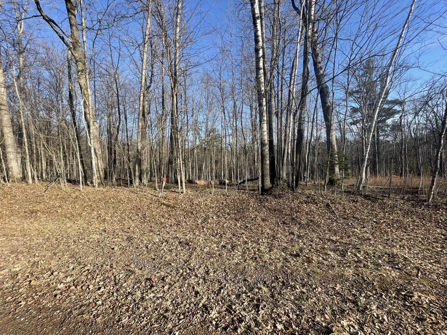 2897 29 7/8 Avenue Birchwood WI 54817 1599988 image1