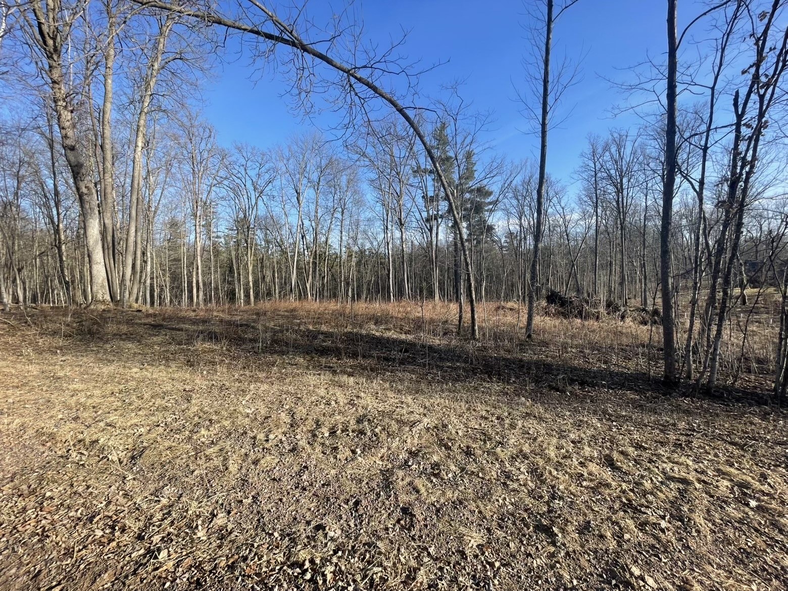 2897 29 7/8 Avenue Birchwood WI 54817 1599988 image2
