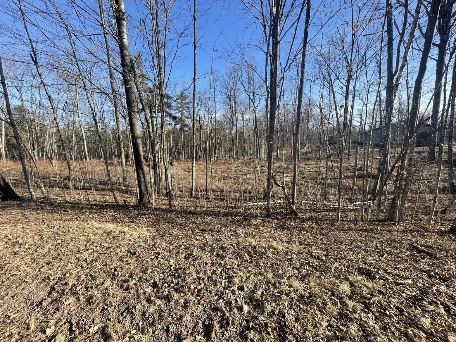2897 29 7/8 Avenue Birchwood WI 54817 1599988 image3