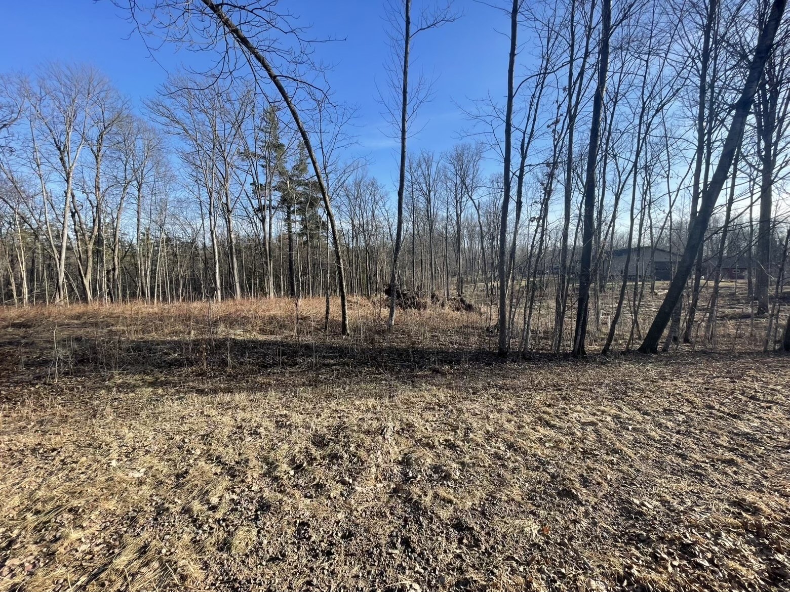 2897 29 7/8 Avenue Birchwood WI 54817 1599988 image4