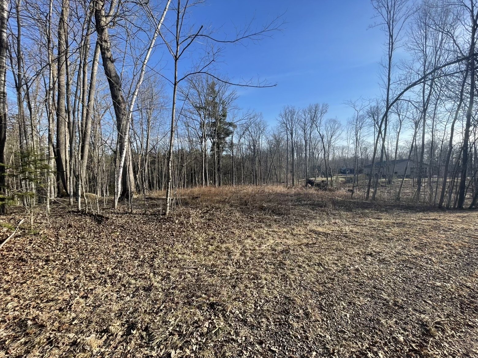 2897 29 7/8 Avenue Birchwood WI 54817 1599988 image5