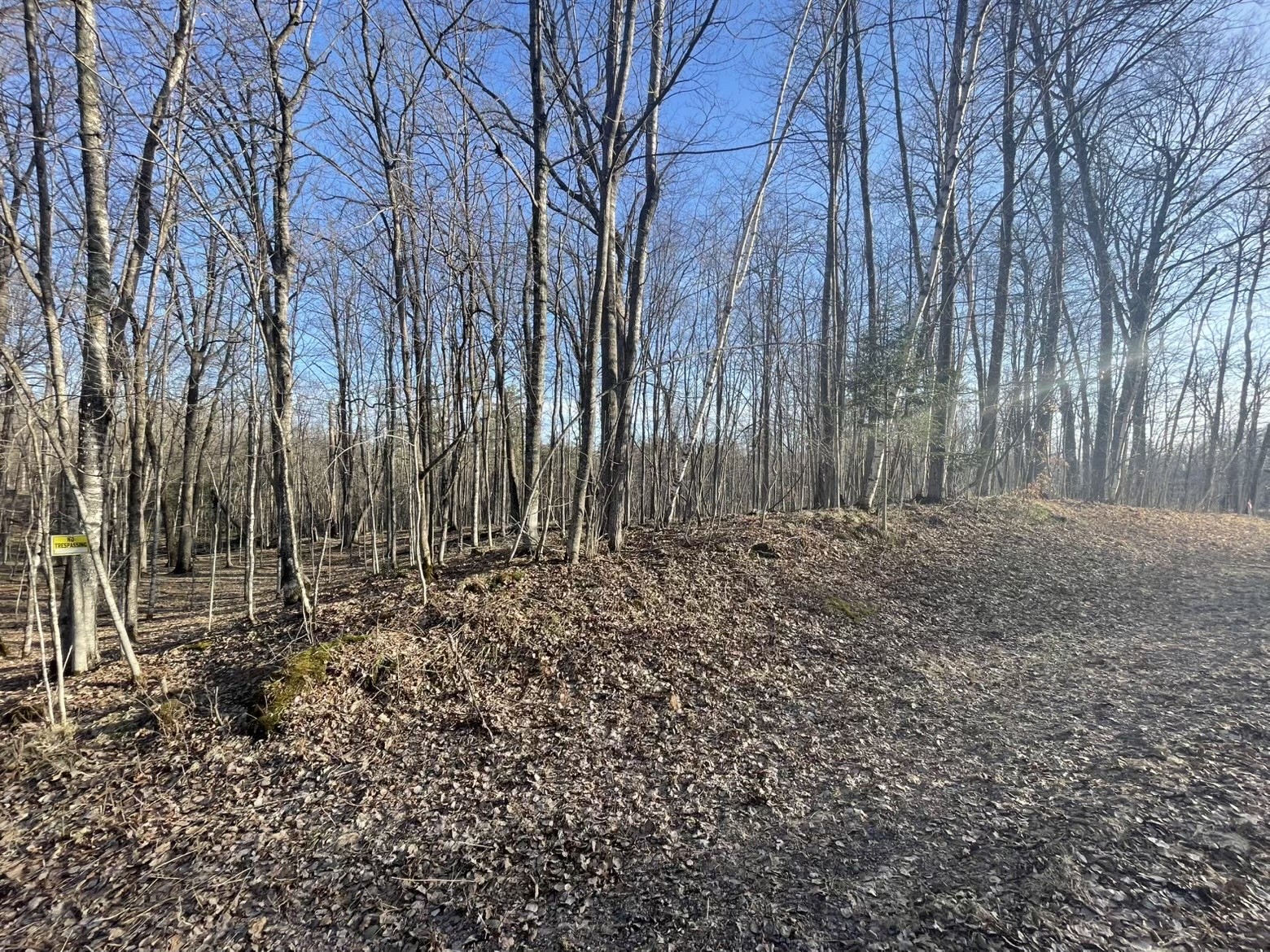 2897 29 7/8 Avenue Birchwood WI 54817 1599988 image6