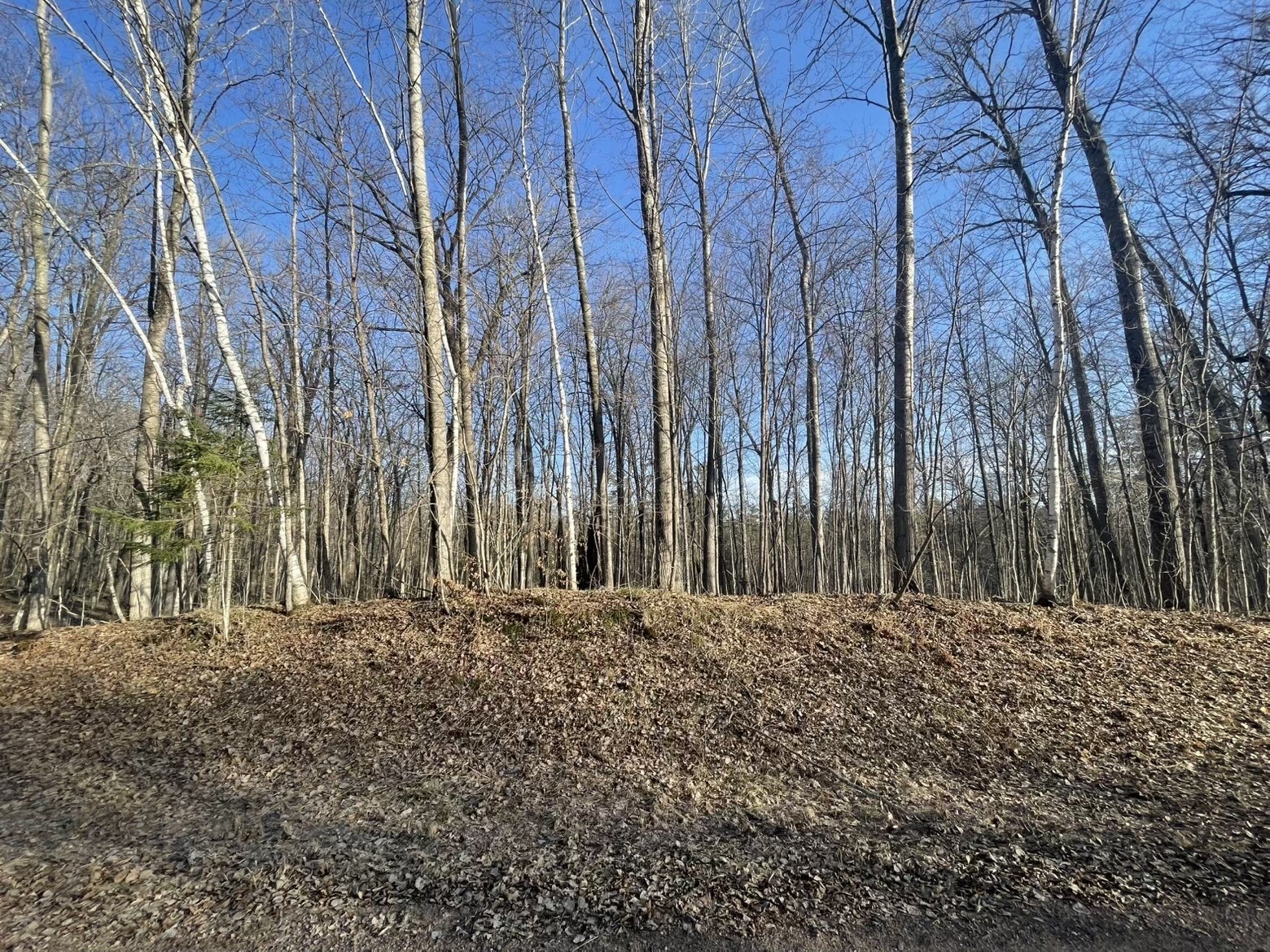 2897 29 7/8 Avenue Birchwood WI 54817 1599988 image7
