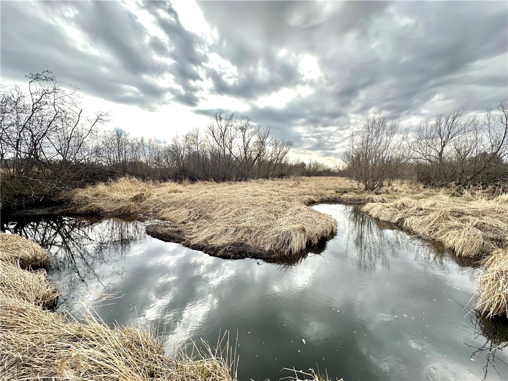 29.03 Acres County Rd U Dallas WI 54733 - North Branch Upper Pine Creek 1590704 image1